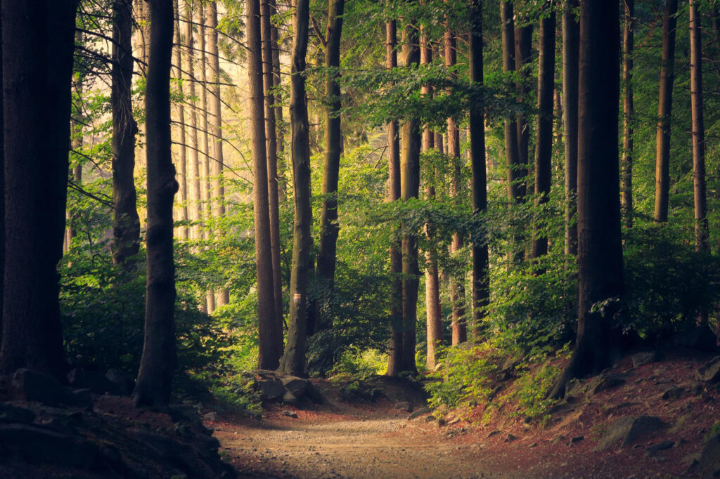 Park prirode Žumberak - Samoborsko gorje, jesen